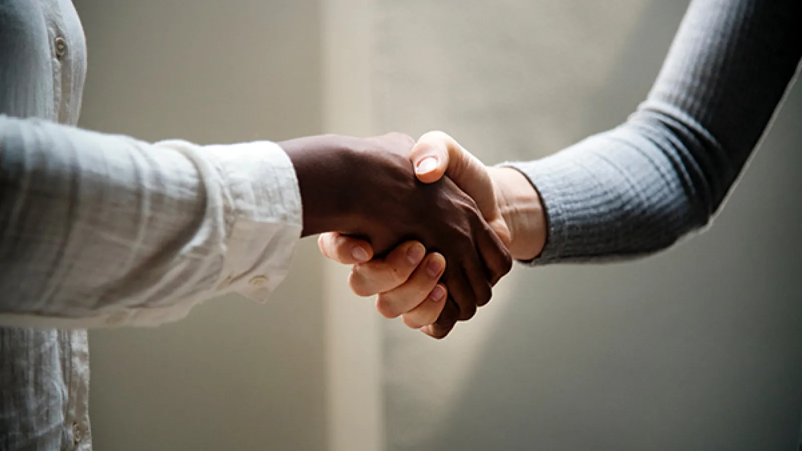 Two people shaking hands