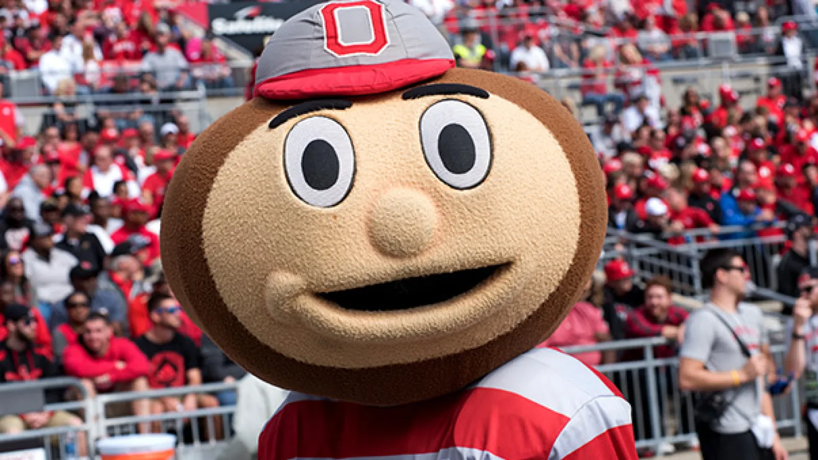 Brutus Buckeye